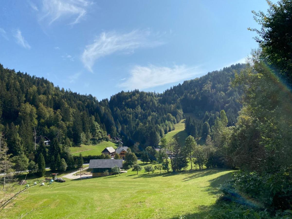 Apartma Jure Zgornje Gorje Buitenkant foto