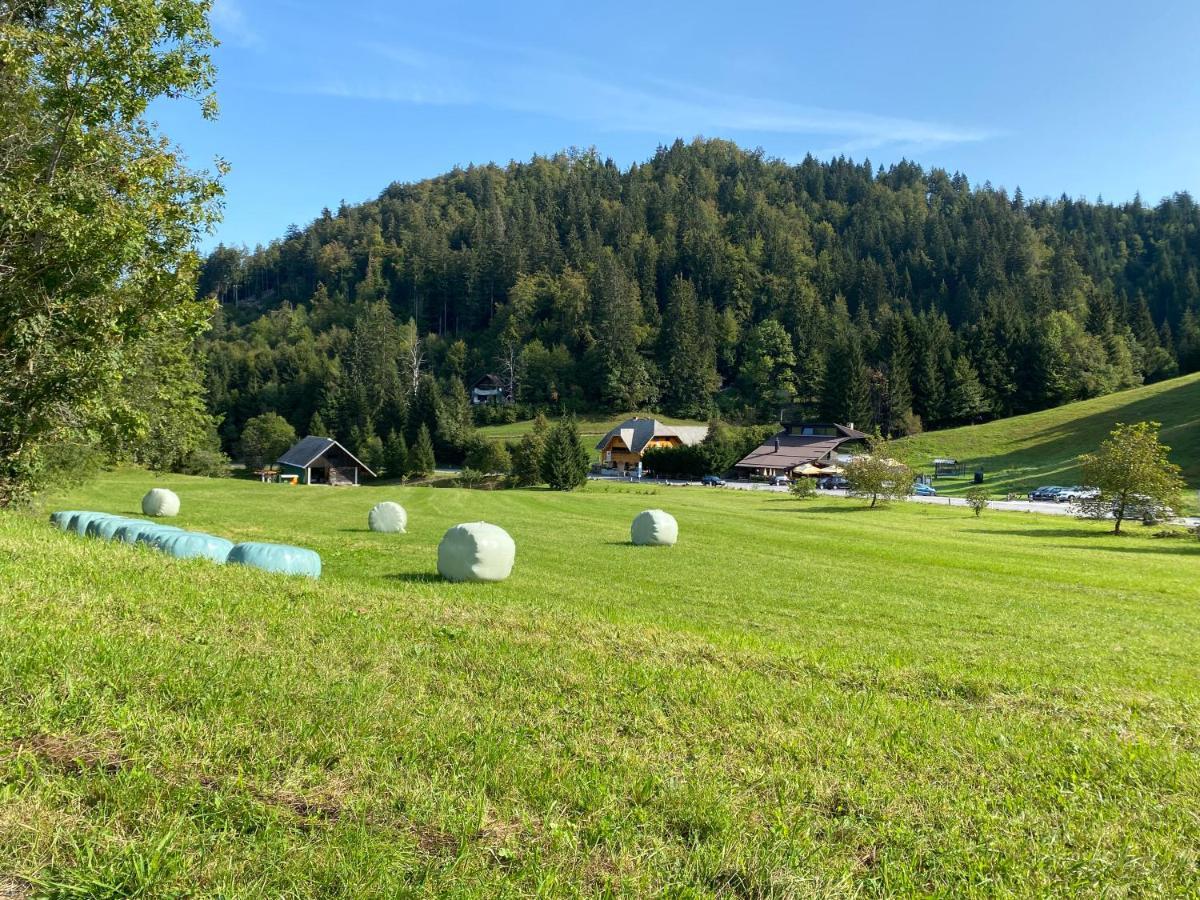 Apartma Jure Zgornje Gorje Buitenkant foto