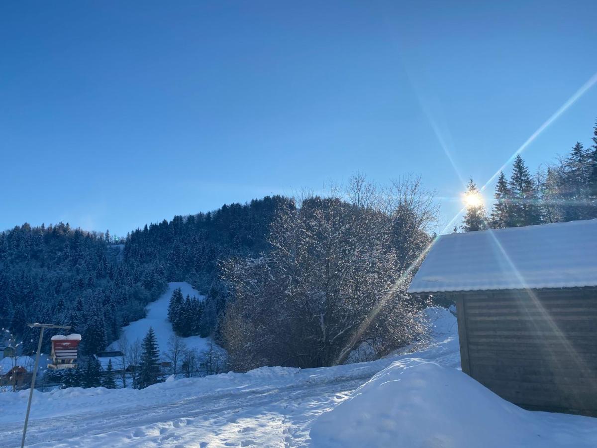 Apartma Jure Zgornje Gorje Buitenkant foto