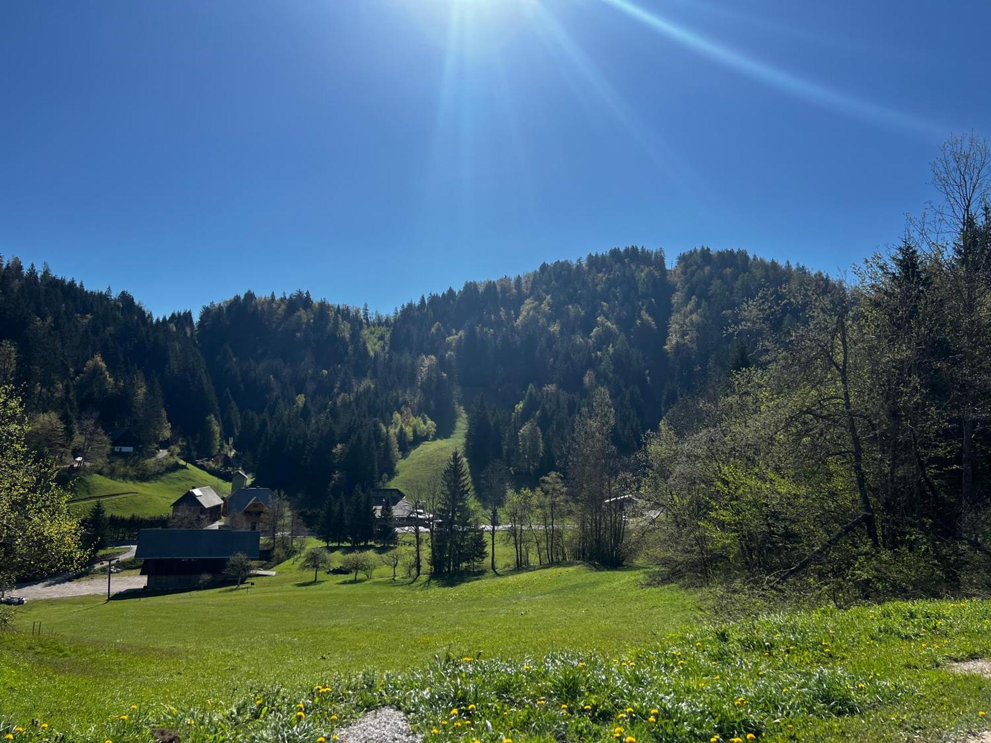 Apartma Jure Zgornje Gorje Buitenkant foto